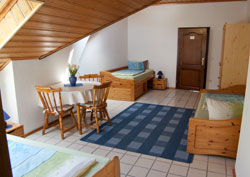 Günstige Ferienwohnung/Appartement für 2 Personen in Speyer.Auch geeignet für Monteure. Fragen Sie nach unseren günstigen Langzeittarifen